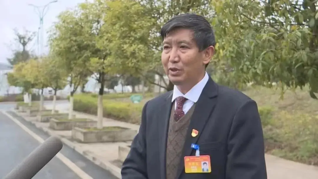 看了张宏甲重磅新书《走向乡村振兴》他们这么说，想买？