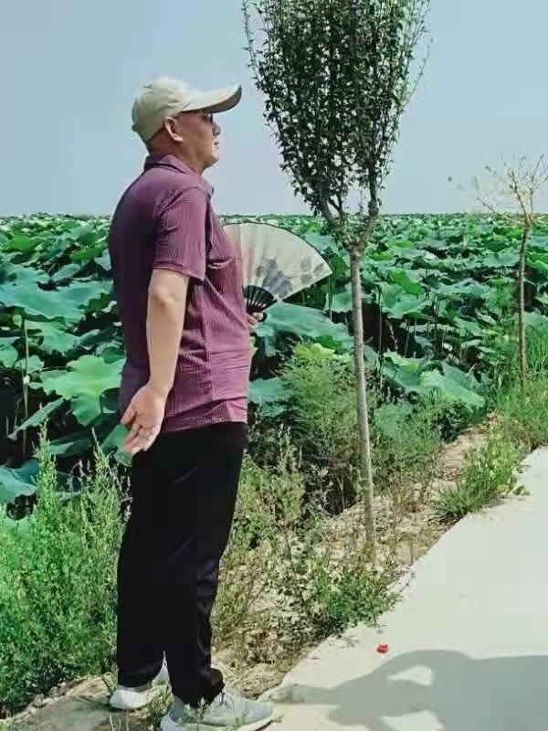 懒人游山（散文）_杨星让
