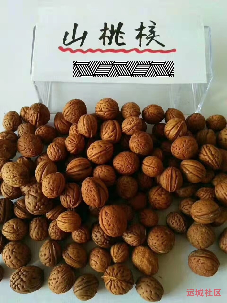 桃树育苗技术讲座(茹炜)_稷山农技 桃树育苗技术讲座(茹炜)_稷山农技