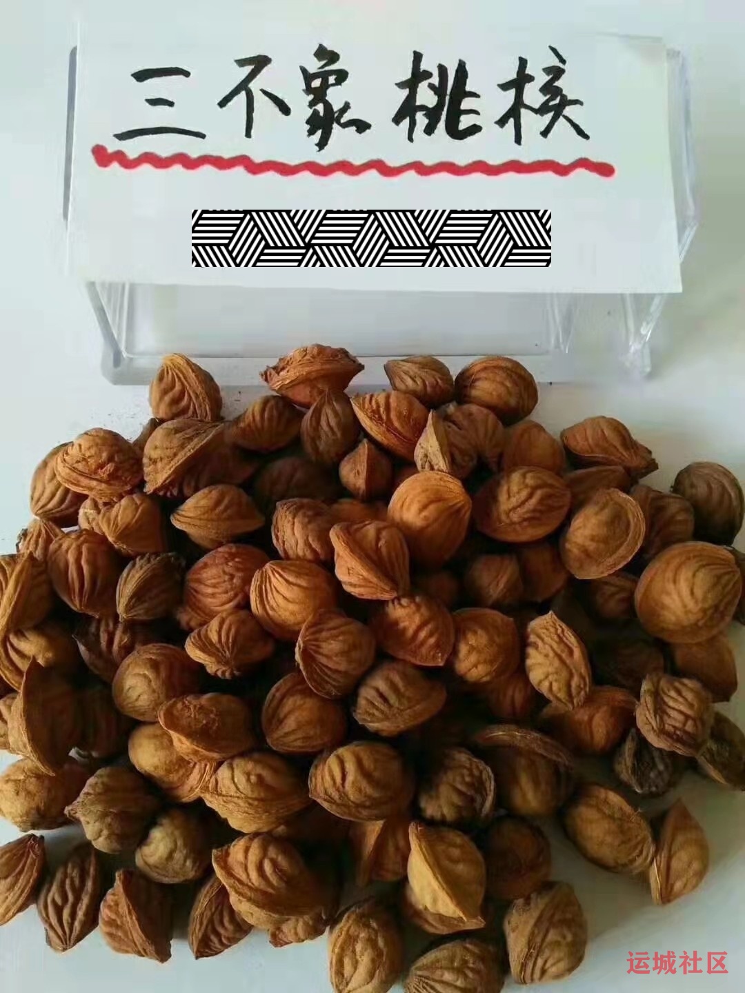 桃树育苗技术讲座(茹炜)_稷山农技 桃树育苗技术讲座(茹炜)_稷山农技