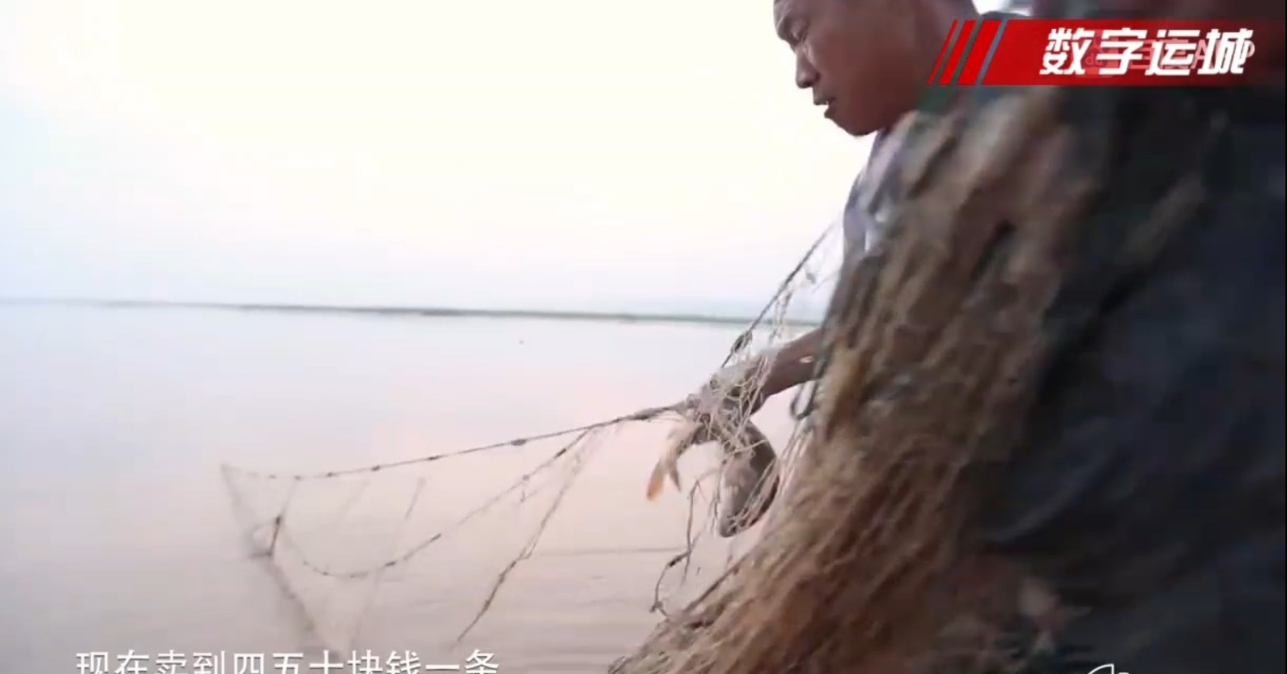 我逮着的黄河鲤鱼最大的一条18斤，一米多长，黄河鲤鱼好吃又筋道。

上下 ...